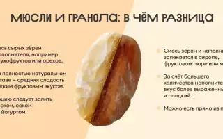 Мюсли: калорийность, польза и вред для организма