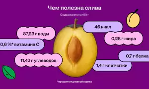 Слива: ее калорийность и польза для здоровья