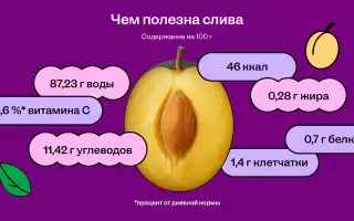 Слива: ее калорийность и польза для здоровья