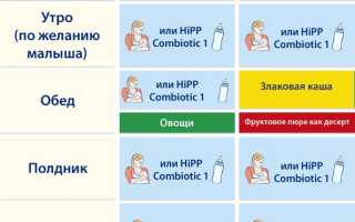 Режим питания детей до года: когда вводить прикорм