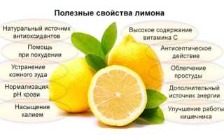 Лимон: польза и вред для организма, калорийность, употребление при похудении