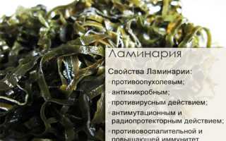 Калорийность морской капусты, польза и вред продукта