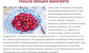 Польза и вред винегрета для организма, калорийность и использование в диетах