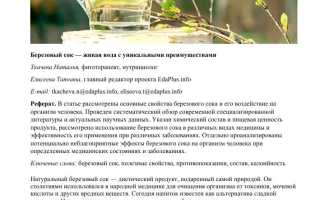 Свойства березового сока: не только вкус, но и польза