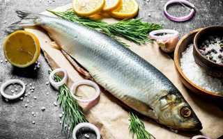 Селедка: польза и вред для организма человека