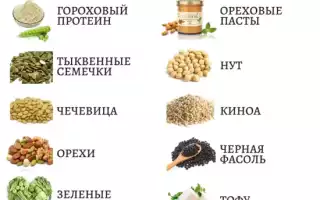 Ореховая диета — заменяем животный белок растительным
