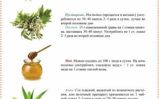 Растения, улучшающие зрение: природная помощь для глаз