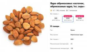 Абрикосовые косточки: польза и вред для организма