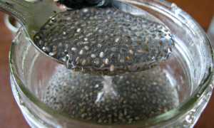 Семена чиа: полезные свойства и применение