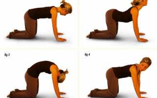 Упражнения для позвоночника — поможем спине