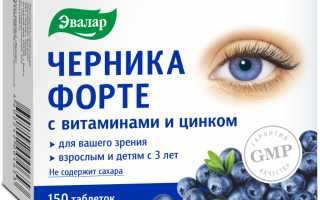 Черника, лекарство с болот