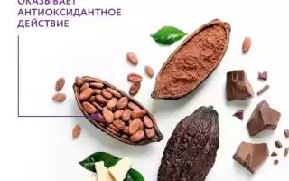 Полезные свойства масла какао и применение в косметологии