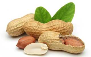 Самые полезные орехи: состав, калорийность и польза