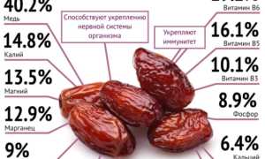 Финики: калорийность, пищевая ценность, польза и вред для организма