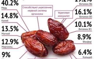 Финики: калорийность, пищевая ценность, польза и вред для организма