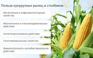 Кукурузные рыльца и их лечебные свойства, о которых следует узнать