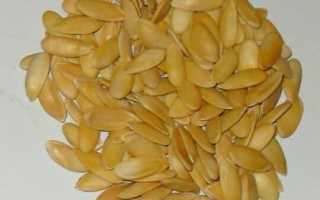 Дыня: калорийность и польза для организма