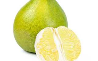 Помело: полезные свойства, противопоказания, калорийность