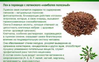 Лечебные свойства семян льна: универсальное средство от множества болезней