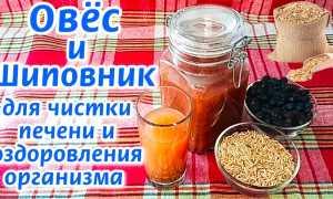 Овес для очищения организма: рецепты приготовления, правила приема