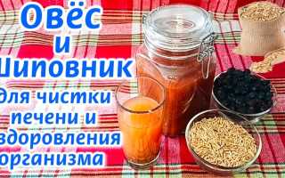 Овес для очищения организма: рецепты приготовления, правила приема