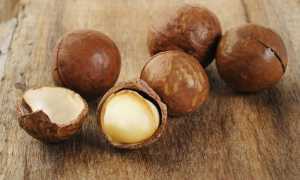 Орех макадамия: пищевая ценность, польза и возможный вред