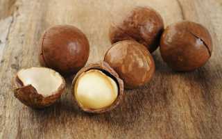 Орех макадамия: пищевая ценность, польза и возможный вред