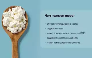 Творог: польза и вред продукта для организма