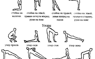 Общеразвивающие упражнения — основа эффективной тренировочной программы