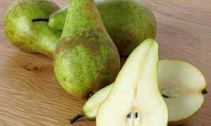 Калорийность груши, польза и вред фрукта для здоровья
