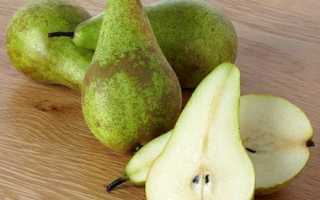 Калорийность груши, польза и вред фрукта для здоровья