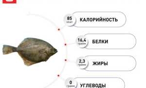 Камбала: калорийность, БЖУ, польза и вред