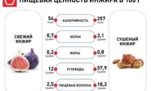 Инжир: калорийность, состав, польза и вред