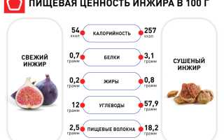 Инжир: калорийность, состав, польза и вред