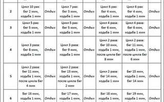 Интервальный бег: преимущества, программа тренировок для начинающих