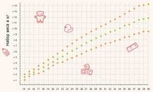 Норма прибавки в весе при беременности по неделям