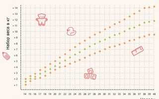 Норма прибавки в весе при беременности по неделям
