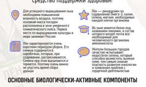 Семена льна: состав, польза и вред для организма