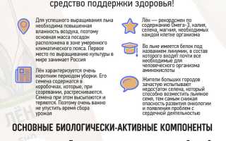 Семена льна: состав, польза и вред для организма