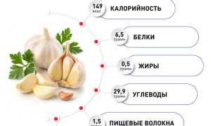 Чеснок: польза для организма человека, калорийность и БЖУ, противопоказания