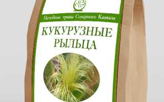 Кукурузные рыльца для похудения – правила применения и предостережения