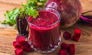 Свекольный квас: состав, польза, противопоказания, популярные рецепты приготовления