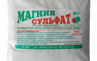 Как правильно провести очищение организма в домашних условиях?