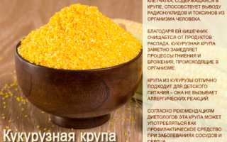 Кукурузная каша: польза и вред для организма человека