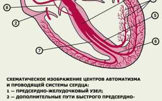 Чем опасны экстрасистолы сердца