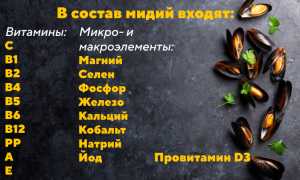 Мидии: полезные свойства и противопоказания, калорийность, БЖУ