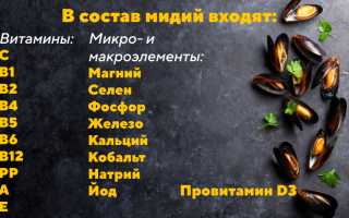 Мидии: полезные свойства и противопоказания, калорийность, БЖУ