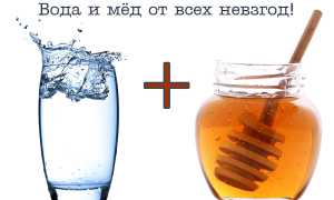 Медовая вода: полезные свойства и противопоказания, как принимать для похудения, рецепты