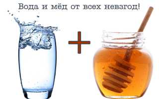 Медовая вода: полезные свойства и противопоказания, как принимать для похудения, рецепты