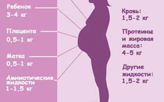 Прибавка в весе во время беременности: не стоит переживать